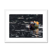 Load image into Gallery viewer, Tail Feathers Framed & Mounted Print