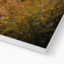 Load image into Gallery viewer, image5