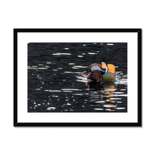 Load image into Gallery viewer, Tail Feathers Framed & Mounted Print
