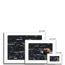 Load image into Gallery viewer, Tail Feathers Framed & Mounted Print