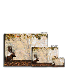 Load image into Gallery viewer, On The Stage Canvas