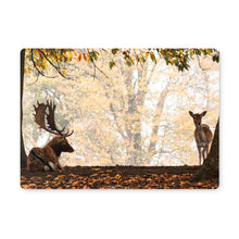 Load image into Gallery viewer, On The Stage Placemat