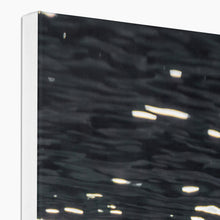 Load image into Gallery viewer, Tail Feathers Canvas