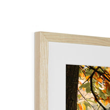 Load image into Gallery viewer, On The Stage Framed & Mounted Print
