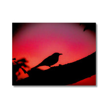 Load image into Gallery viewer, Blackbird Sunset Canvas