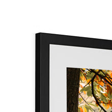 Load image into Gallery viewer, On The Stage Framed & Mounted Print