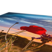 Load image into Gallery viewer, image5