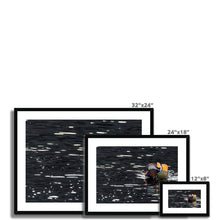 Load image into Gallery viewer, Tail Feathers Framed & Mounted Print