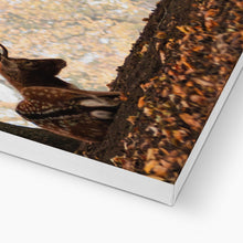 Load image into Gallery viewer, On The Stage Canvas