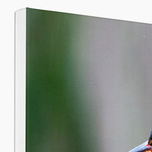 Load image into Gallery viewer, image2