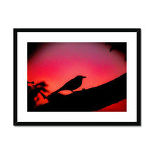 Load image into Gallery viewer, Blackbird Sunset Framed & Mounted Print