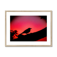 Load image into Gallery viewer, Blackbird Sunset Framed & Mounted Print