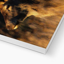 Load image into Gallery viewer, Lights, camera, action Canvas