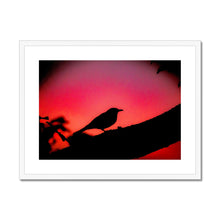 Load image into Gallery viewer, Blackbird Sunset Framed & Mounted Print