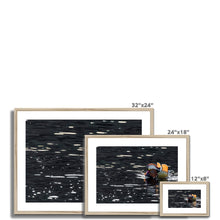 Load image into Gallery viewer, Tail Feathers Framed & Mounted Print