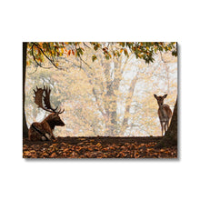 Load image into Gallery viewer, On The Stage Canvas