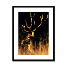 Load image into Gallery viewer, Lights, camera, action Framed & Mounted Print