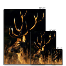 Load image into Gallery viewer, Lights, camera, action Canvas