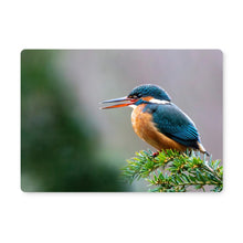 Load image into Gallery viewer, image2