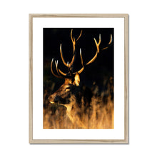 Load image into Gallery viewer, Lights, camera, action Framed & Mounted Print