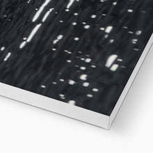 Load image into Gallery viewer, Tail Feathers Canvas