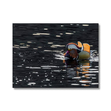 Load image into Gallery viewer, Tail Feathers Canvas