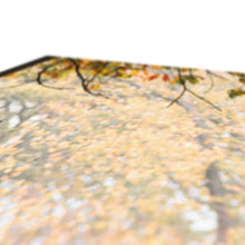 Load image into Gallery viewer, On The Stage Canvas