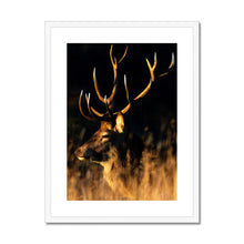 Load image into Gallery viewer, Lights, camera, action Framed & Mounted Print