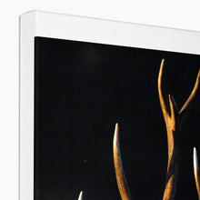 Load image into Gallery viewer, Lights, camera, action Canvas