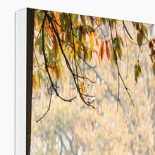 Load image into Gallery viewer, On The Stage Canvas