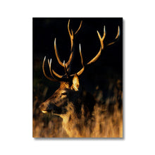 Load image into Gallery viewer, Lights, camera, action Canvas