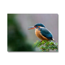 Load image into Gallery viewer, image2