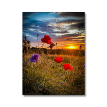 Load image into Gallery viewer, image4