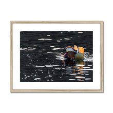 Load image into Gallery viewer, Tail Feathers Framed & Mounted Print
