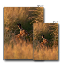 Load image into Gallery viewer, Harriet Canvas