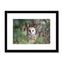 Load image into Gallery viewer, Owl In Hollow Framed & Mounted Print