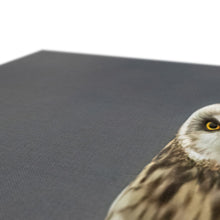 Load image into Gallery viewer, Short Eared Owl Canvas