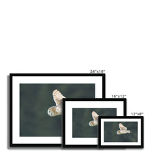 Load image into Gallery viewer, Barn Owl putting on a show Framed & Mounted Print