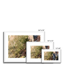 Load image into Gallery viewer, Tawny on the Rocks Framed & Mounted Print