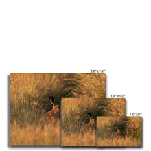 Load image into Gallery viewer, Harriet Canvas