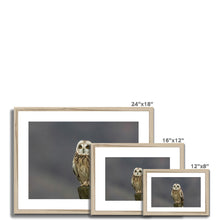Load image into Gallery viewer, Short Eared Owl Framed & Mounted Print