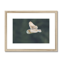 Load image into Gallery viewer, Barn Owl putting on a show Framed & Mounted Print