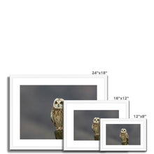 Load image into Gallery viewer, Short Eared Owl Framed & Mounted Print