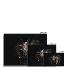 Load image into Gallery viewer, Looking in to your soul Fine Art Print