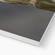 Load image into Gallery viewer, Short Eared Owl Canvas