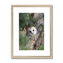 Load image into Gallery viewer, Hello Barn Owl Framed & Mounted Print