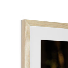 Load image into Gallery viewer, Golden Long Eared Owl Framed & Mounted Print