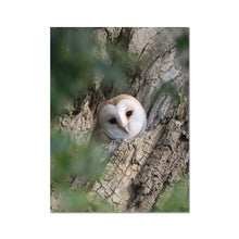 Load image into Gallery viewer, Hello Barn Owl Fine Art Print