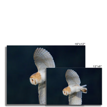 Load image into Gallery viewer, Barn Owl In The Dark Fine Art Print