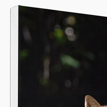 Load image into Gallery viewer, Foxy Canvas
